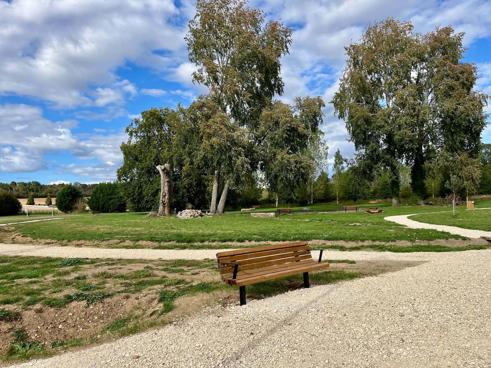 La prairie du parc de Muzy, ses grands arbres conservés et un banc au bord de l’allée